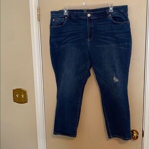 Kut from the Kloth Denim Jeans 20W